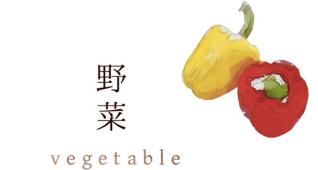 野菜vegetable